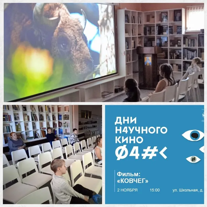 "Ковчег"